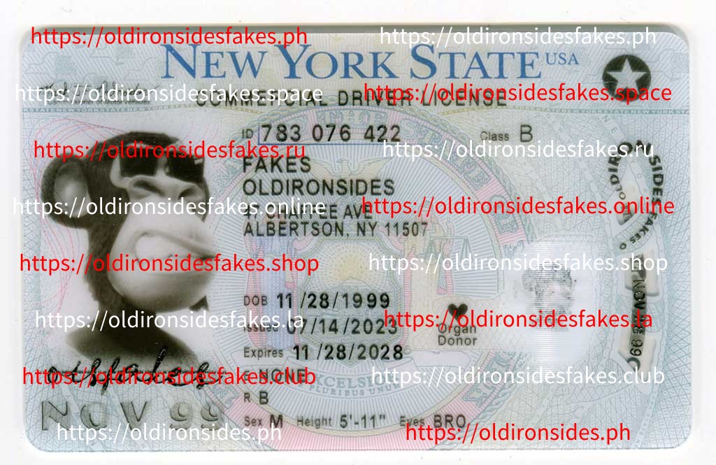 How to Identify High-Quality Fake IDs - OldIronsidesFakes