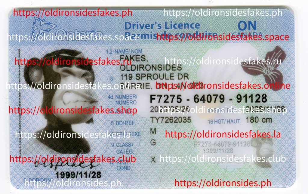 OldIronSide Fakes: Best & Fast Fake ID Service
