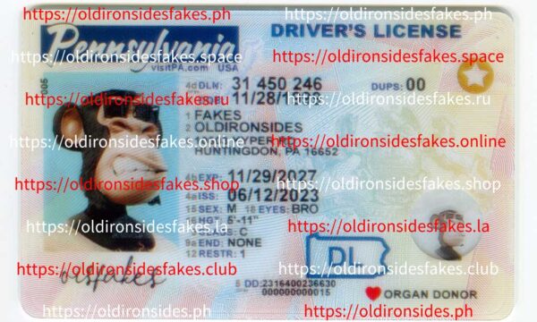 Pennsylvania Driver License(New PA O21 2022 PolyCard)