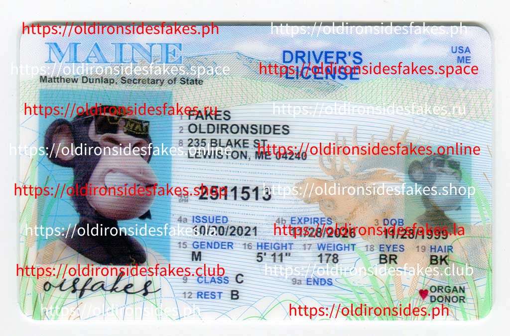 Maine Driver License(Old ME)