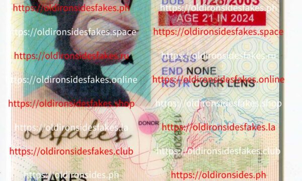 California Driver License(Old CA U21)