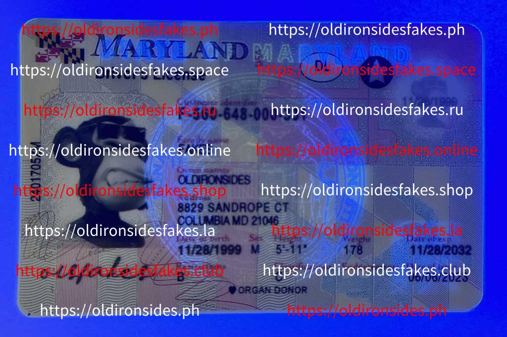 Maryland Driver License(New MD) - Image 3