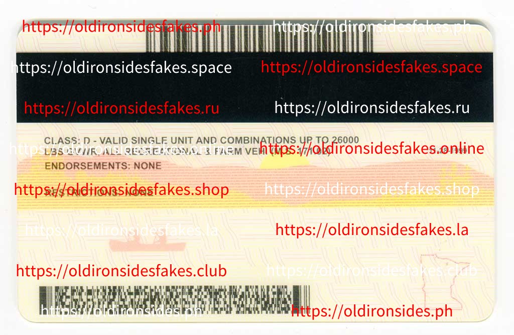 Minnesota Driver License(Old MN) - Image 2