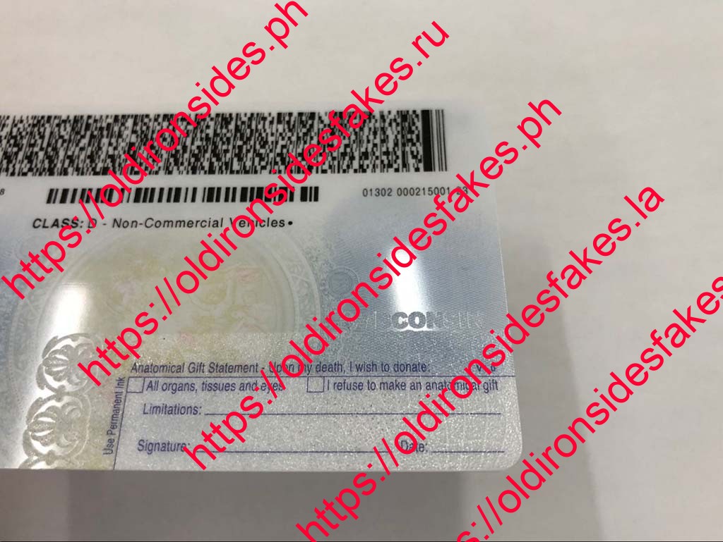 Wisconsin Driver License(WI) - Image 5